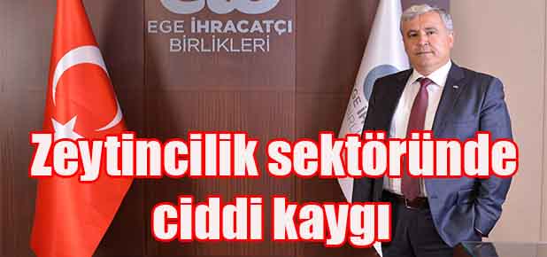 Hükümetten zeytin ağaçlarını korumasını bekliyoruz