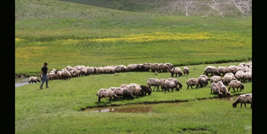 İl umumi hıfzıssıhha kurulu hangi kararı aldı?