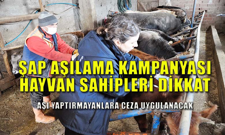İlkbahar Dönemi Aşılama Kampanyaları Devam Ediyor