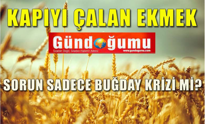 Kapıyı Çalan Ekmek