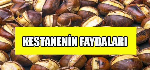 Kestane bağışıklığı güçlendiriyor