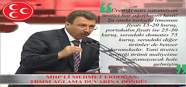 MHP’li Mehmet Erdoğan: TBMM ağlama duvarına döndü!