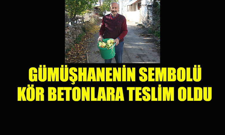 Önce Elmalar Kayboldu