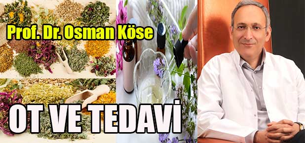 Otlarla tedavinin (!) telafisi yok