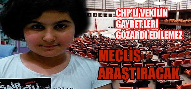 Rabia Naz Vatan'ın ölümünü TBMM Araştıracak