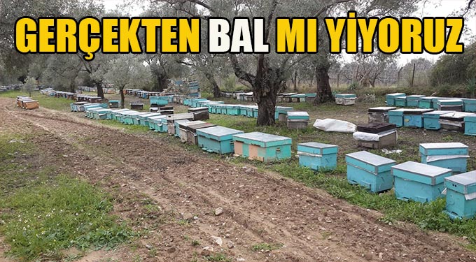 Sofraya Gelene Kadar Neler Oluyor