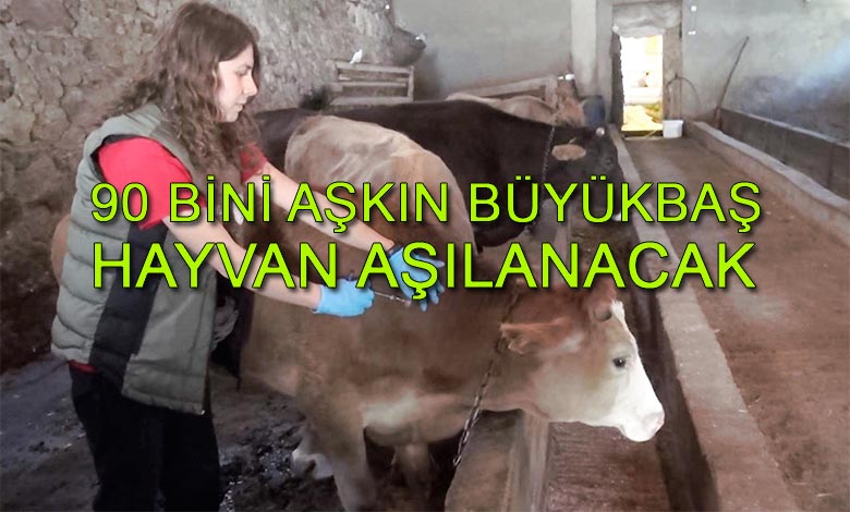 Sonbahar Dönemi Şap Aşılama Kampanyası Başladı