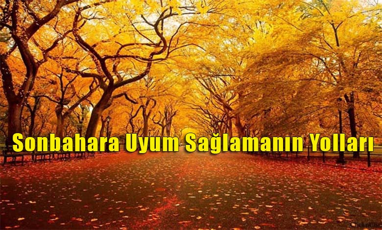 Sonbahara Uyum Süreci Başlıyor