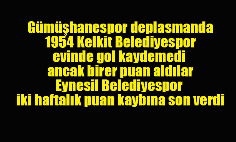 TFF 3. Lig