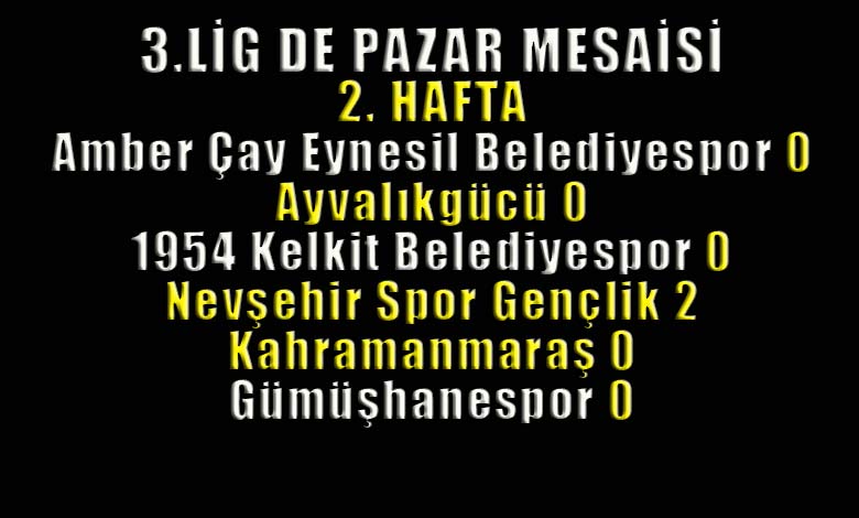 TFF Spor Toto 3.Lig