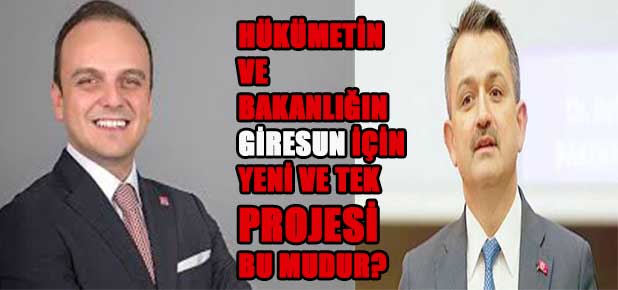 Tığlı Bulancak Orman İşletmesini sordu