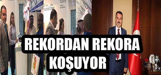 Türk zeytin ve zeytinyağı