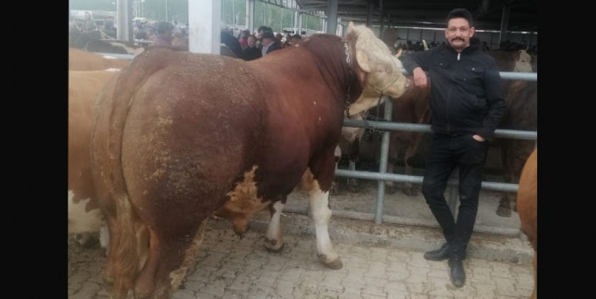 Üretici ne istiyor