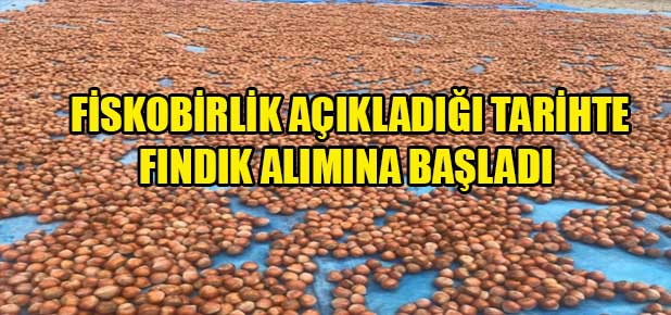 Üreticiler Ücret Ödemeyecek